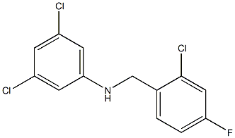 3,5-dichloro-N-[(2-chloro-4-fluorophenyl)methyl]aniline 구조식 이미지