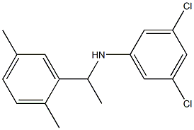 3,5-dichloro-N-[1-(2,5-dimethylphenyl)ethyl]aniline 구조식 이미지