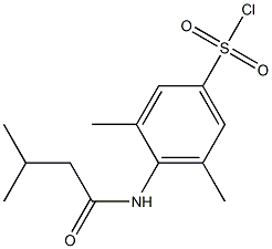 3,5-dimethyl-4-(3-methylbutanamido)benzene-1-sulfonyl chloride 구조식 이미지