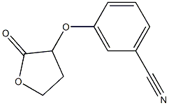 3-[(2-oxooxolan-3-yl)oxy]benzonitrile Structure