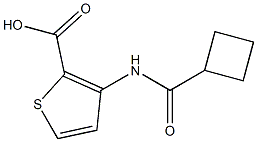3-[(cyclobutylcarbonyl)amino]thiophene-2-carboxylic acid 구조식 이미지