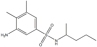 3-amino-4,5-dimethyl-N-(pentan-2-yl)benzene-1-sulfonamide Structure