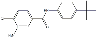 3-amino-N-(4-tert-butylphenyl)-4-chlorobenzamide Structure