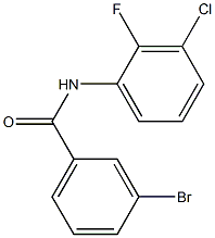 3-bromo-N-(3-chloro-2-fluorophenyl)benzamide Structure