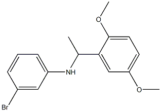 3-bromo-N-[1-(2,5-dimethoxyphenyl)ethyl]aniline 구조식 이미지