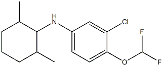 3-chloro-4-(difluoromethoxy)-N-(2,6-dimethylcyclohexyl)aniline 구조식 이미지