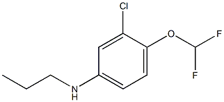 3-chloro-4-(difluoromethoxy)-N-propylaniline Structure