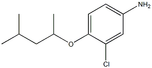 3-chloro-4-[(4-methylpentan-2-yl)oxy]aniline Structure