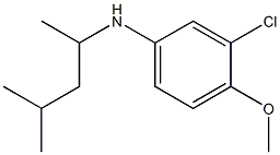 3-chloro-4-methoxy-N-(4-methylpentan-2-yl)aniline Structure