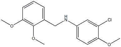 3-chloro-N-[(2,3-dimethoxyphenyl)methyl]-4-methoxyaniline Structure