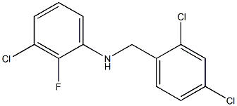 3-chloro-N-[(2,4-dichlorophenyl)methyl]-2-fluoroaniline Structure