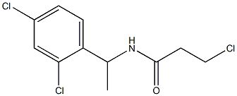 3-chloro-N-[1-(2,4-dichlorophenyl)ethyl]propanamide Structure