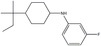 3-fluoro-N-[4-(2-methylbutan-2-yl)cyclohexyl]aniline 구조식 이미지