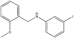 3-iodo-N-[(2-methoxyphenyl)methyl]aniline 구조식 이미지