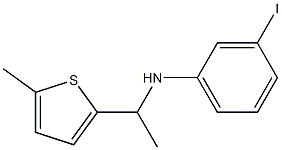 3-iodo-N-[1-(5-methylthiophen-2-yl)ethyl]aniline Structure
