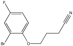 4-(2-bromo-4-fluorophenoxy)butanenitrile Structure