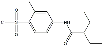 4-(2-ethylbutanamido)-2-methylbenzene-1-sulfonyl chloride Structure