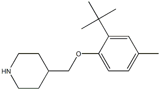 4-(2-tert-butyl-4-methylphenoxymethyl)piperidine Structure