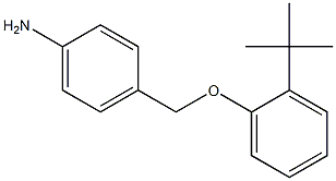 4-(2-tert-butylphenoxymethyl)aniline Structure