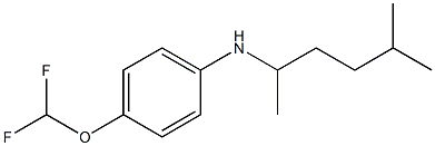 4-(difluoromethoxy)-N-(5-methylhexan-2-yl)aniline Structure