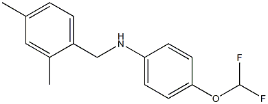 4-(difluoromethoxy)-N-[(2,4-dimethylphenyl)methyl]aniline 구조식 이미지