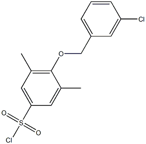 4-[(3-chlorophenyl)methoxy]-3,5-dimethylbenzene-1-sulfonyl chloride Structure