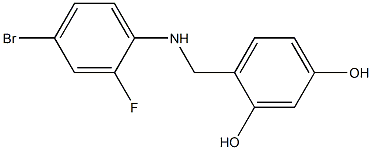 4-{[(4-bromo-2-fluorophenyl)amino]methyl}benzene-1,3-diol Structure