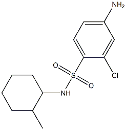 4-amino-2-chloro-N-(2-methylcyclohexyl)benzene-1-sulfonamide Structure