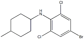 4-bromo-2,6-dichloro-N-(4-methylcyclohexyl)aniline Structure