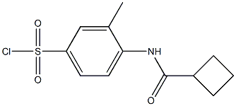 4-cyclobutaneamido-3-methylbenzene-1-sulfonyl chloride Structure