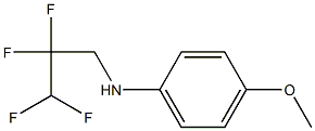 4-methoxy-N-(2,2,3,3-tetrafluoropropyl)aniline 구조식 이미지