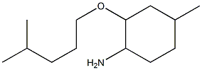 4-methyl-2-[(4-methylpentyl)oxy]cyclohexan-1-amine 구조식 이미지