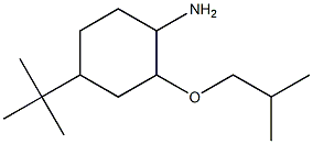 4-tert-butyl-2-(2-methylpropoxy)cyclohexan-1-amine Structure