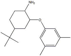 4-tert-butyl-2-(3,5-dimethylphenoxy)cyclohexan-1-amine Structure