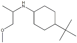 4-tert-butyl-N-(1-methoxypropan-2-yl)cyclohexan-1-amine 구조식 이미지