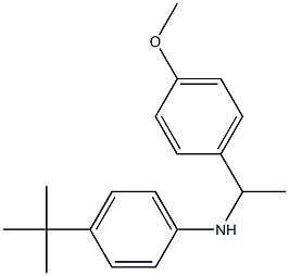 4-tert-butyl-N-[1-(4-methoxyphenyl)ethyl]aniline 구조식 이미지