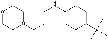 4-tert-butyl-N-[3-(morpholin-4-yl)propyl]cyclohexan-1-amine Structure