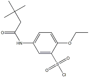 5-(3,3-dimethylbutanamido)-2-ethoxybenzene-1-sulfonyl chloride 구조식 이미지