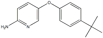 5-(4-tert-butylphenoxy)pyridin-2-amine Structure