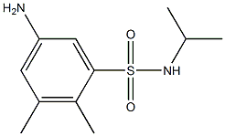 5-amino-2,3-dimethyl-N-(propan-2-yl)benzene-1-sulfonamide Structure