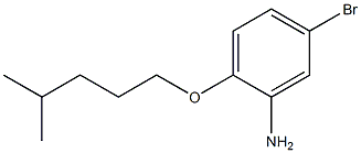 5-bromo-2-[(4-methylpentyl)oxy]aniline Structure