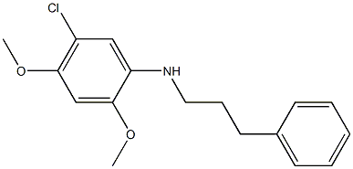 5-chloro-2,4-dimethoxy-N-(3-phenylpropyl)aniline 구조식 이미지