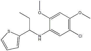 5-chloro-2,4-dimethoxy-N-[1-(thiophen-2-yl)propyl]aniline Structure