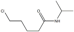 5-chloro-N-(propan-2-yl)pentanamide 구조식 이미지