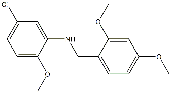 5-chloro-N-[(2,4-dimethoxyphenyl)methyl]-2-methoxyaniline 구조식 이미지