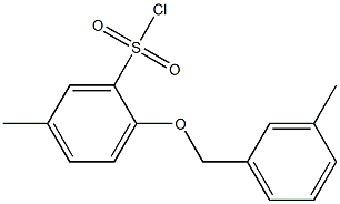 5-methyl-2-[(3-methylphenyl)methoxy]benzene-1-sulfonyl chloride 구조식 이미지