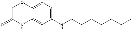 6-(heptylamino)-3,4-dihydro-2H-1,4-benzoxazin-3-one Structure