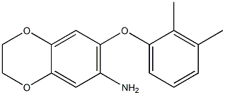 7-(2,3-dimethylphenoxy)-2,3-dihydro-1,4-benzodioxin-6-amine Structure