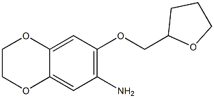 7-(oxolan-2-ylmethoxy)-2,3-dihydro-1,4-benzodioxin-6-amine 구조식 이미지