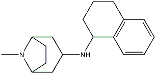 8-methyl-N-(1,2,3,4-tetrahydronaphthalen-1-yl)-8-azabicyclo[3.2.1]octan-3-amine Structure